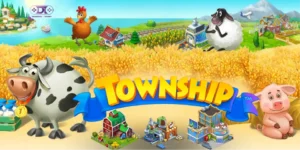 Township
